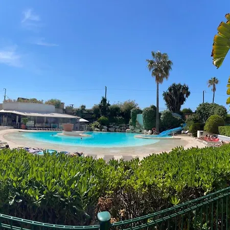 Palme D'azur La Bocca * Cannes