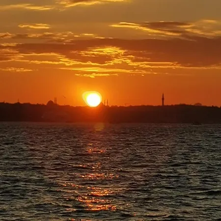 Palme D'azur La Bocca Cannes