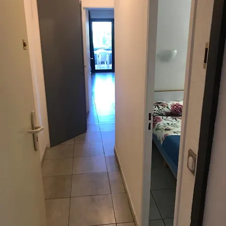 Palme D'azur La Bocca